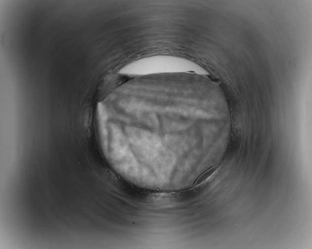 X0000096220082200802151531