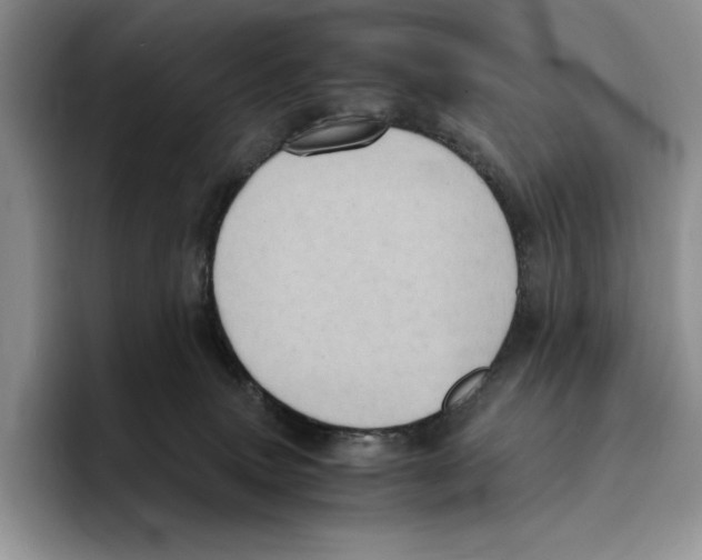 X0000096220083200802151531