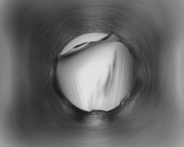 X0000096220084200802151531