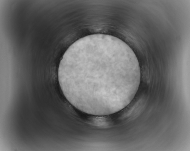 X0000096220085200802151531