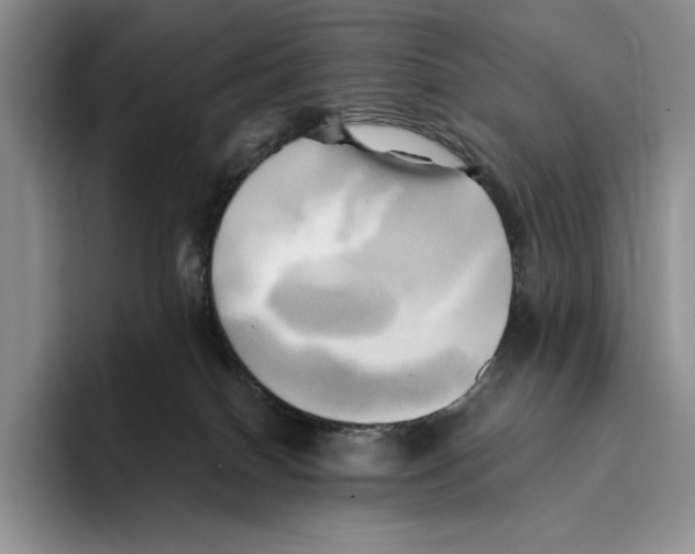 X0000096220086200802151531