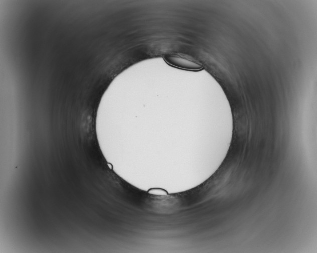 X0000096220087200802151531