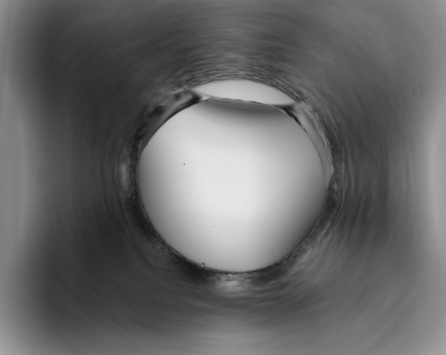 X0000096220088200802151531