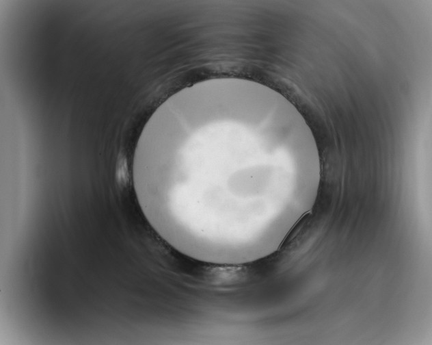 X0000096220089200802151531