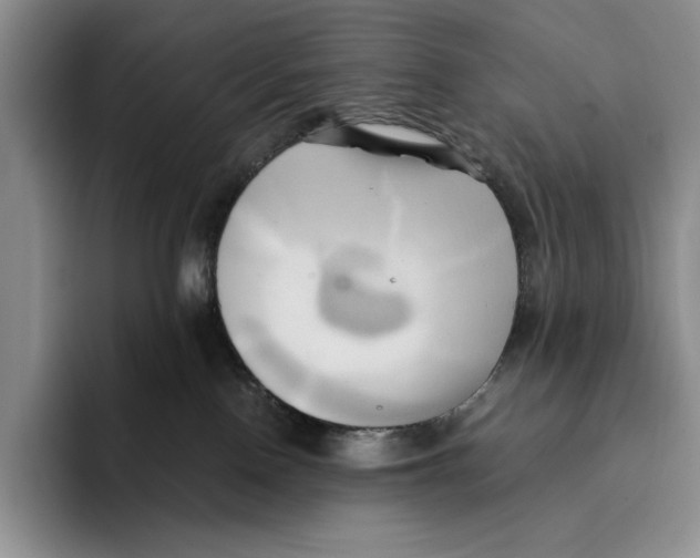 X0000096220090200802151531