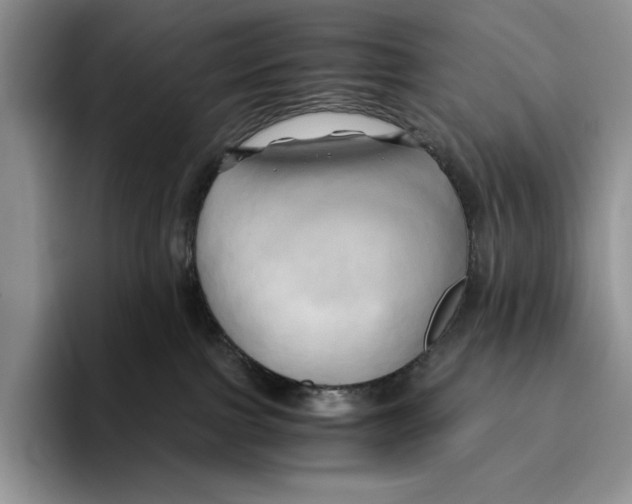 X0000096220091200802151531