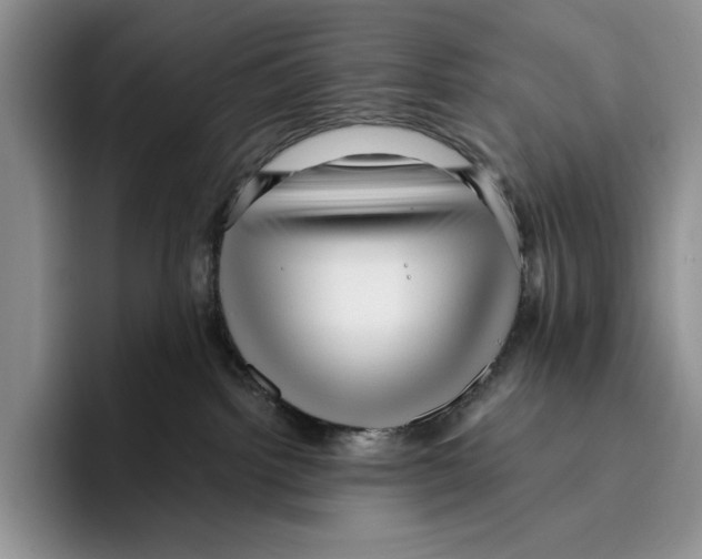 X0000096220092200802151531