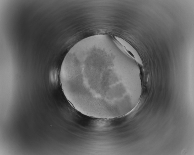 X0000096220094200802151531