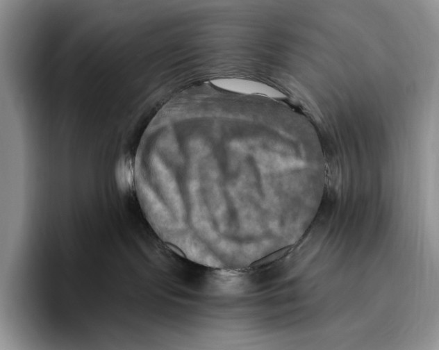 X0000096220095200802151531