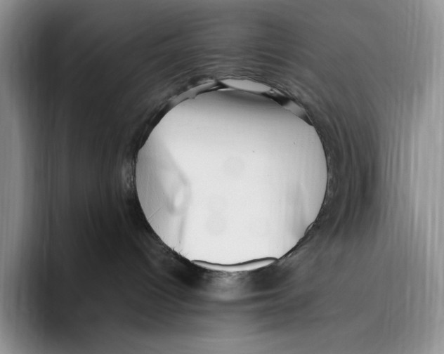 X0000096220096200802151531