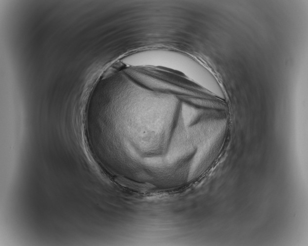 X0000096220097200802151530