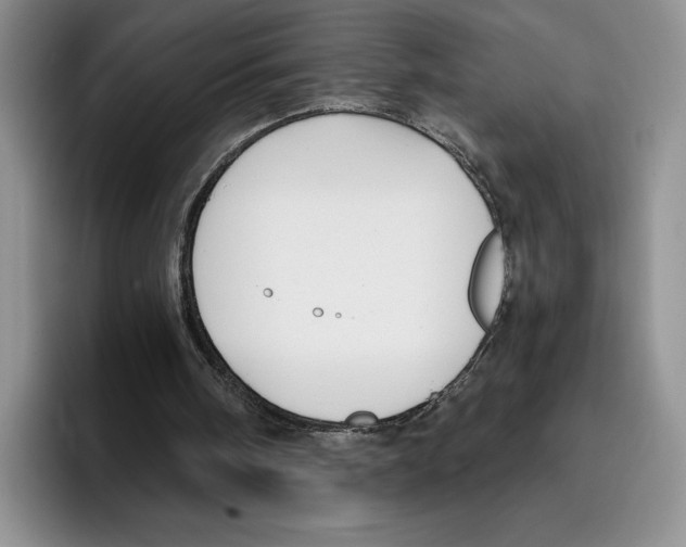 X0000096220098200802151530