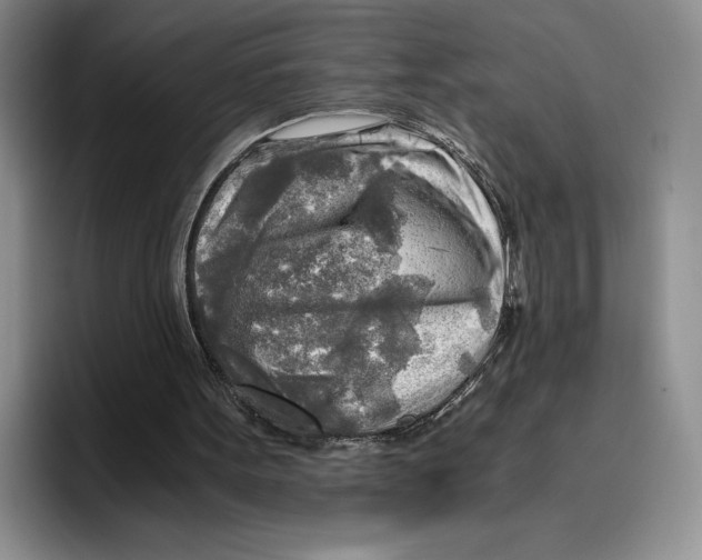 X0000096220099200802151530