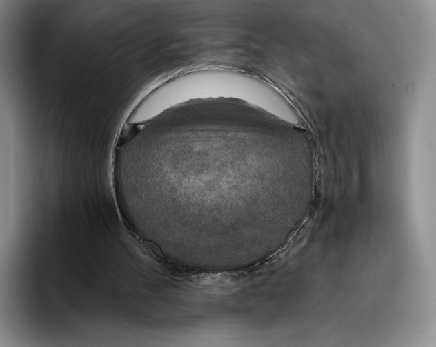 X0000096220100200802151530