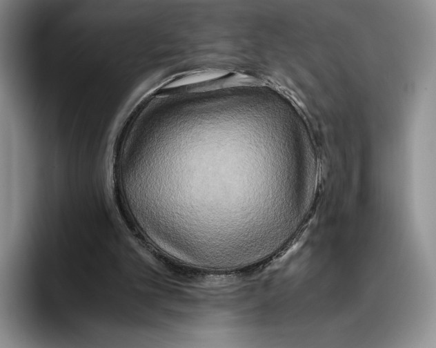 X0000096220101200802151530