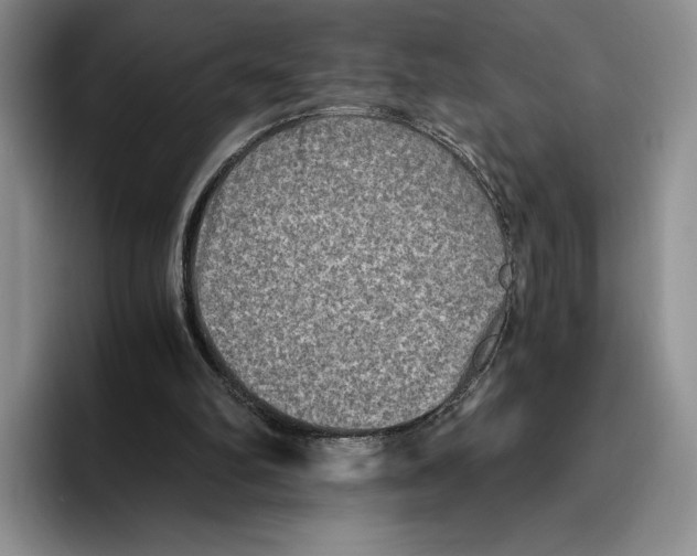 X0000096220102200802151530