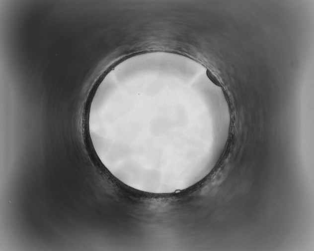 X0000096220103200802151530