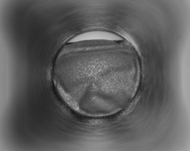 X0000096220105200802151530