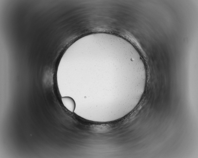 X0000096220106200802151530