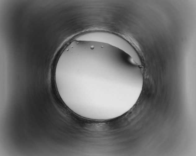 X0000096220108200802151530