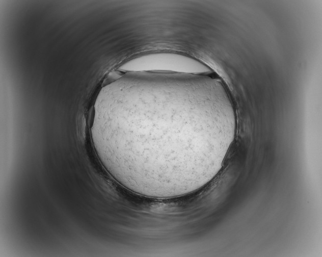 X0000096220109200802151530