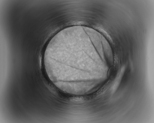 X0000096220110200802151530