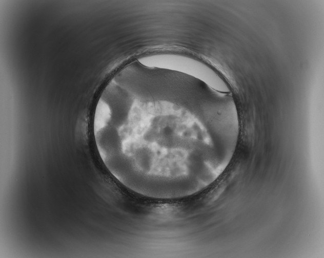 X0000096220111200802151530