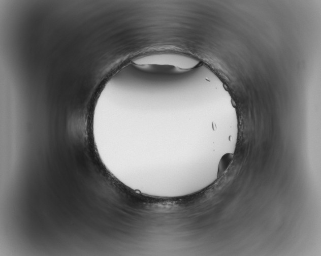 X0000096220112200802151530