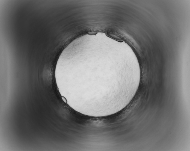 X0000096220113200802151530