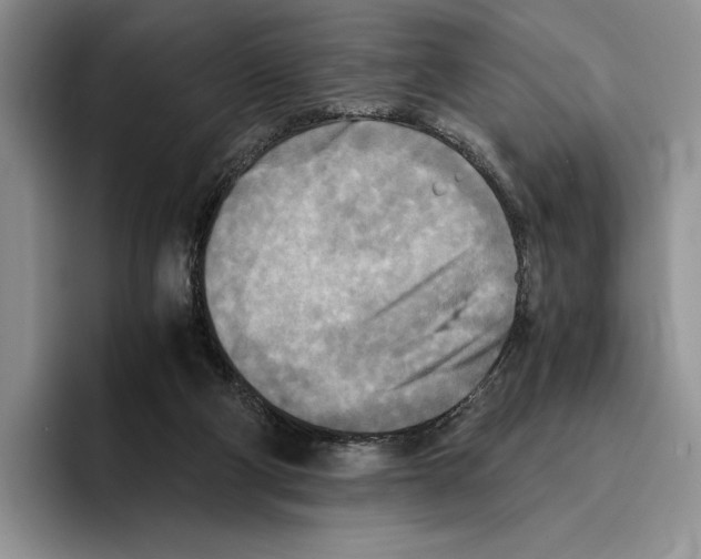 X0000096220114200802151530