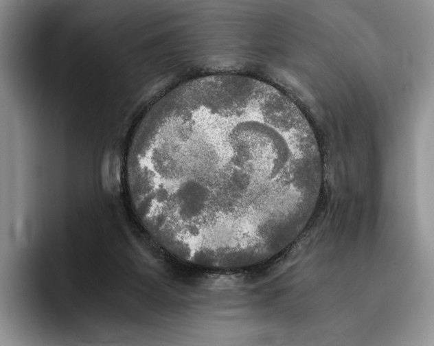 X0000096220115200802151530