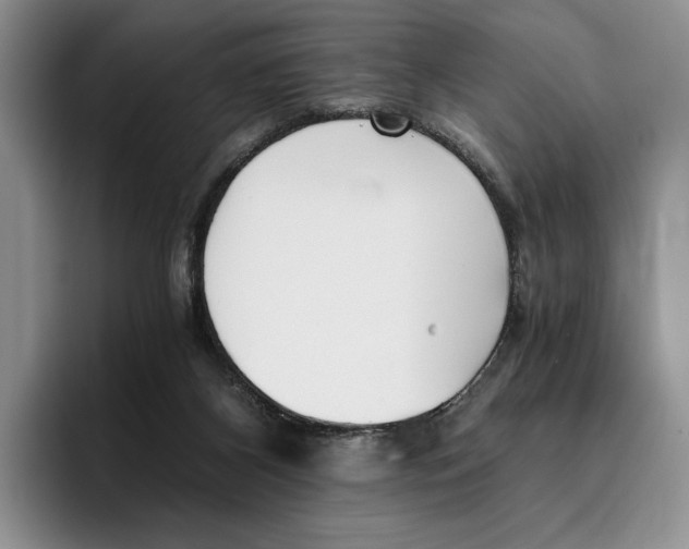 X0000096220116200802151530