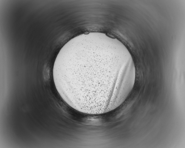 X0000096220117200802151530