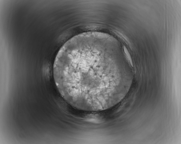 X0000096220119200802151530