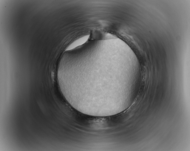 X0000096220124200802151530