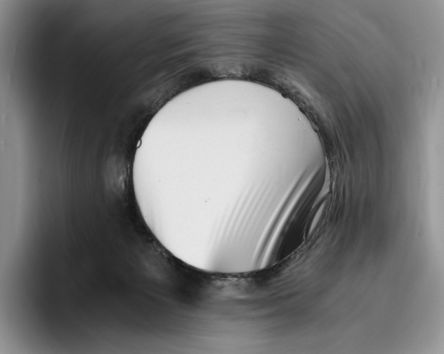 X0000096220125200802151530