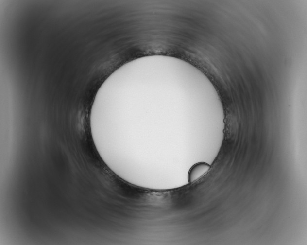 X0000096220126200802151530