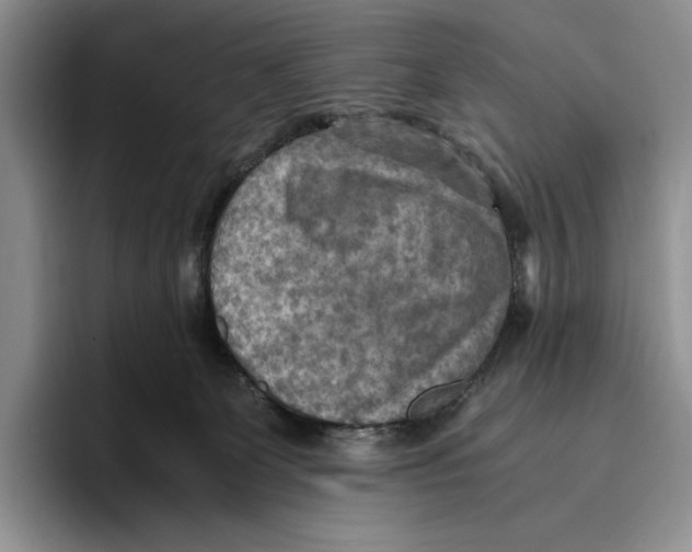 X0000096220131200802151530