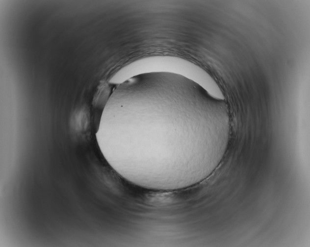 X0000096220132200802151530