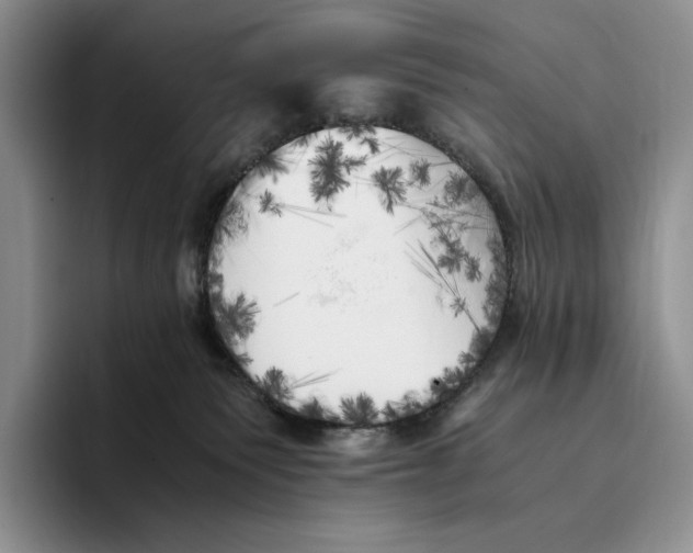 X0000096220135200802151530