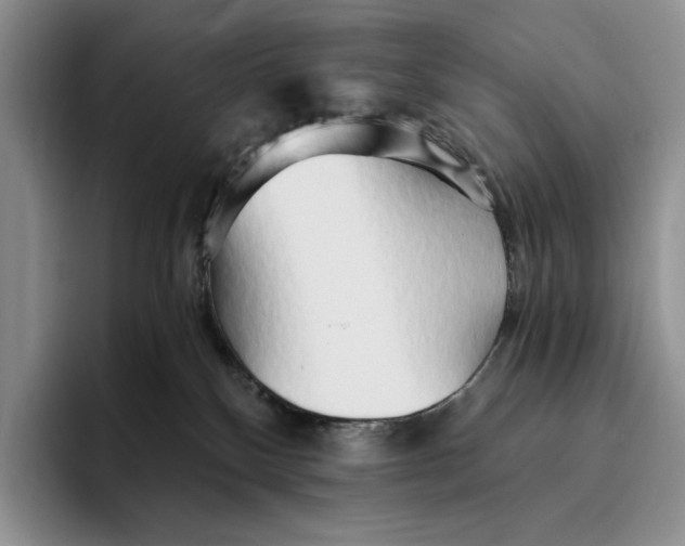 X0000096220136200802151530