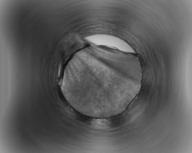 X0000096220137200802151530