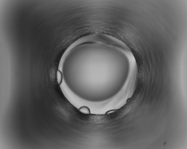 X0000096220139200802151530