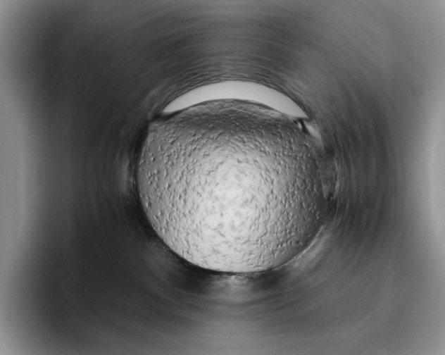 X0000096220140200802151530