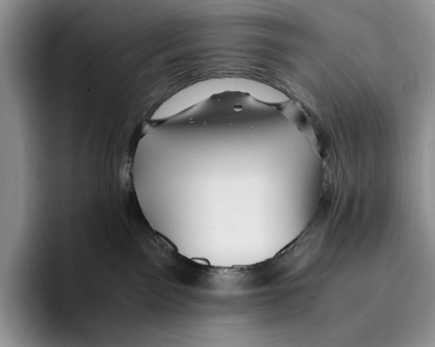 X0000096220141200802151530