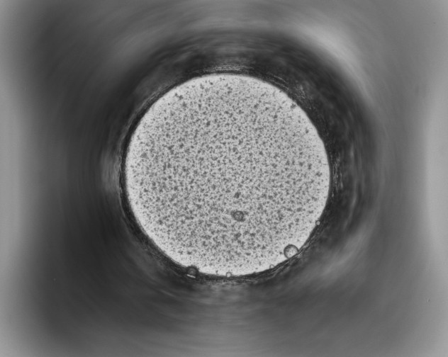 X0000096220146200802151529