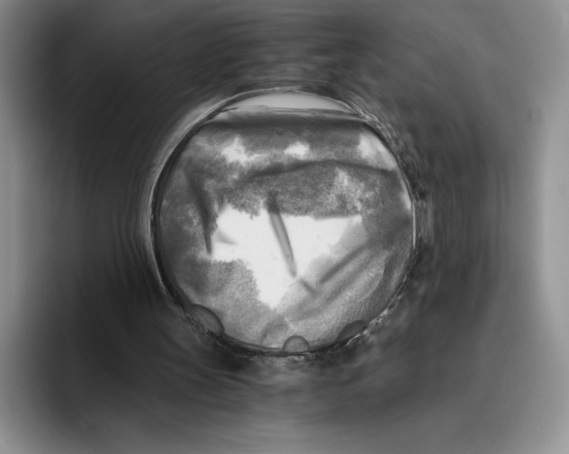 X0000096220147200802151529