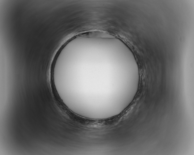 X0000096220148200802151529