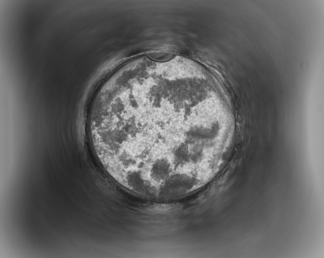 X0000096220149200802151529