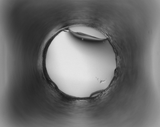 X0000096220150200802151529